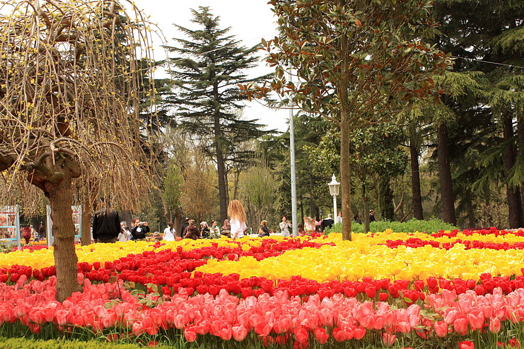 The tulip time in Istanbul